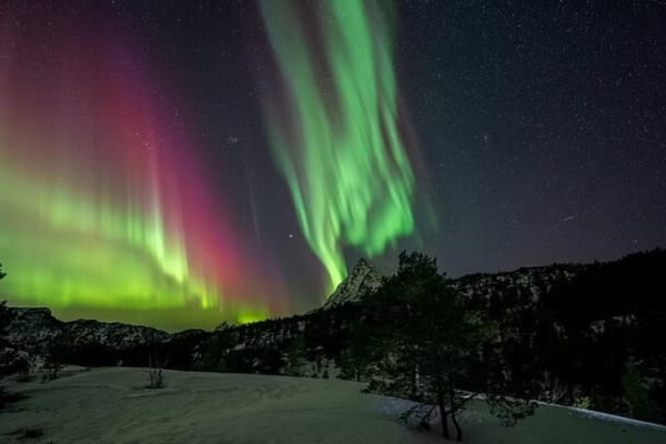 Chasse aux aurores boréales à Bodø