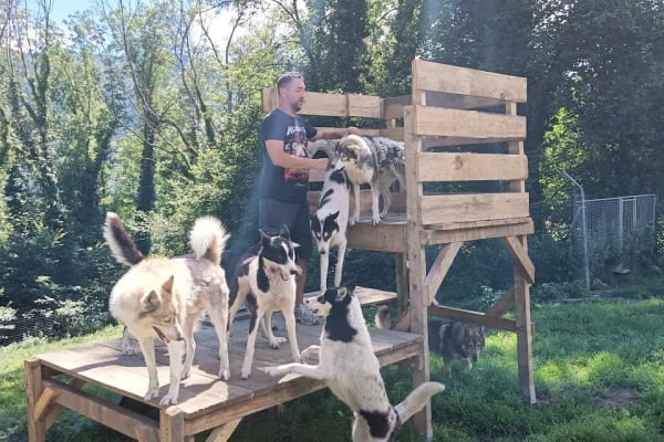 Visit to a Sled Dog Kennel in the Val d'Azun near Argelès-Gazost, Hautes-Pyrénées