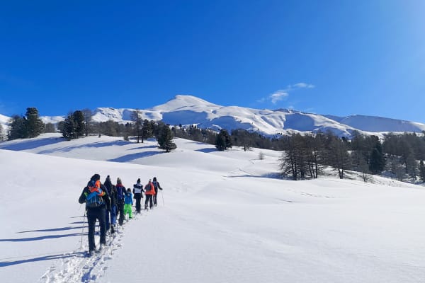 Schneeschuhwandern in Vars, La Forêt Blanche