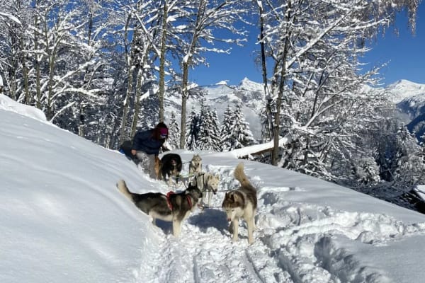 Excursion nocturne en chiens de traîneau aux Carroz d'Arâches, Le Grand Massif