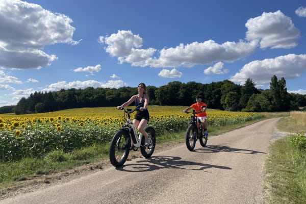 Fat bike à Forêt de Fontainebleau