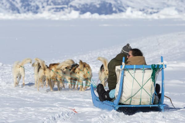 Hundeschlittenfahrt in Ilulissat
