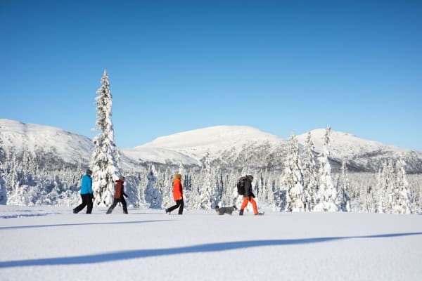 Schneeschuhwandern in Bakvattnet