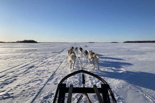 Excursion guidée en chiens de traîneau à Leipijärvi au départ de Haparanda