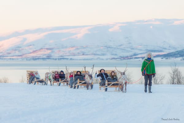 Reindeer Sledding in Tromsø