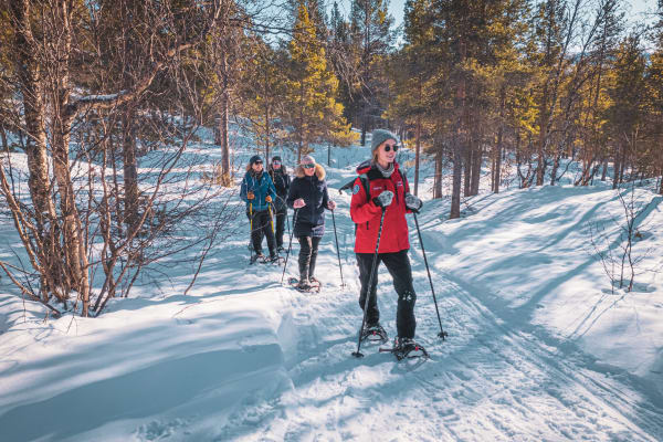 Schneeschuhwandern in Alta