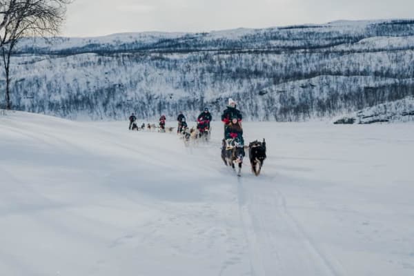 Hundeschlittenfahrt in Kilpisjärvi