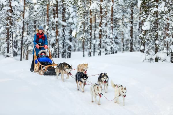 Excursion en chiens de traîneau aux Carroz d'Arâches, Le Grand Massif