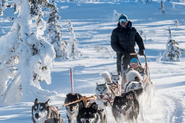 Journée intermédiaire de chiens de traîneau à Sälen  