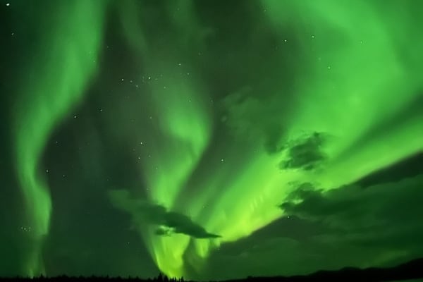 Chasse aux aurores boréales à Whitehorse, Yukon