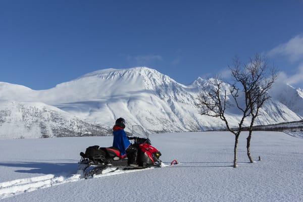 Schneemobilausflug von Nord Lenangen in den Lyngen Alpen