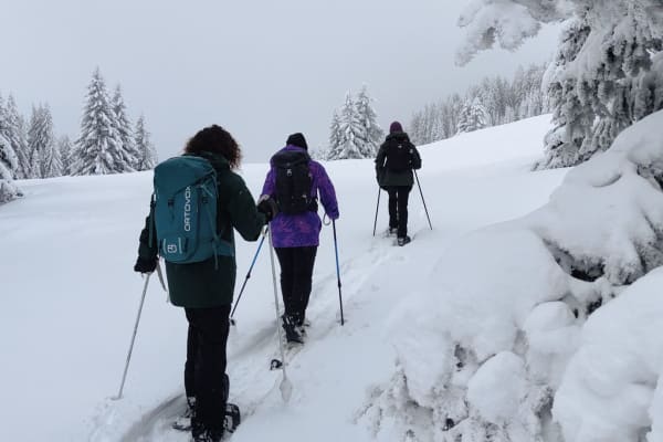 Geführte Schneeschuhwanderung zu den Chalets de la Fullie, in der Nähe des Lac du Bourget