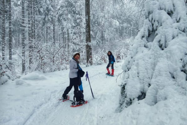 Excursión con raquetas de nieve en el Parque Nacional Adamello Brenta desde Andalo