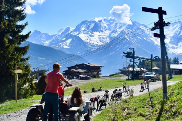 Cani-kart à Saint-Gervais face au Mont-Blanc, Haute-Savoie