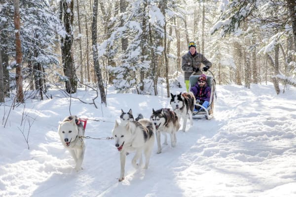 Excursion en chiens de traîneau au parc national de la Jacques-Cartier, Québec