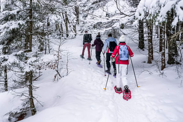 Raquettes à neige à Cortina d'Ampezzo