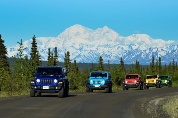 Off Road Driving Experience in Denali National Park 