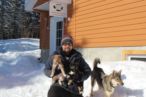 Besuch einer Huskies-Zuchtstätte im Matapedia-Tal auf der Gaspé-Halbinsel