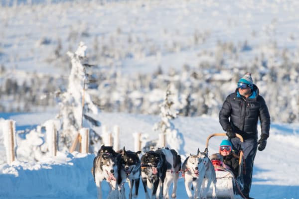 Nuit en chiens de traîneau à Sälen