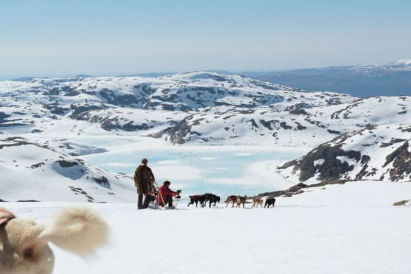 Excursión en trineo de perros y acampada en el glaciar Folgefonna, en Jondal