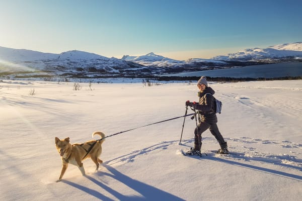 Raquettes à neige à Tromsø