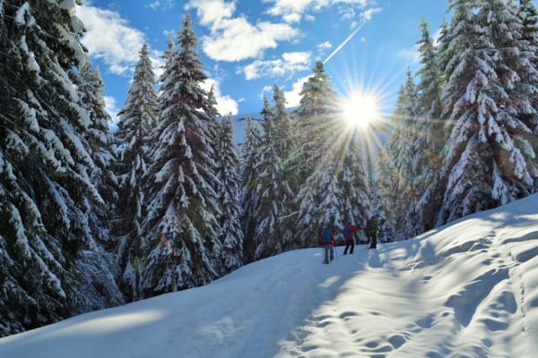Raquettes à neige à Morzine, Portes du Soleil