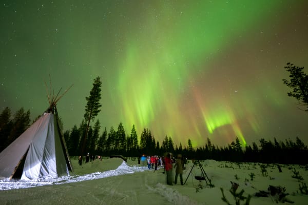 Chasse aux aurores boréales à Rovaniemi