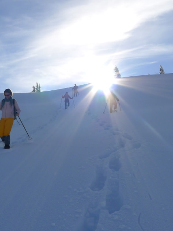 Schneeschuhwandern in Österreich