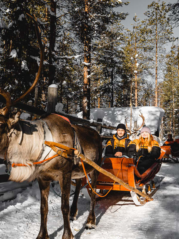 Reindeer Sledding in Finland