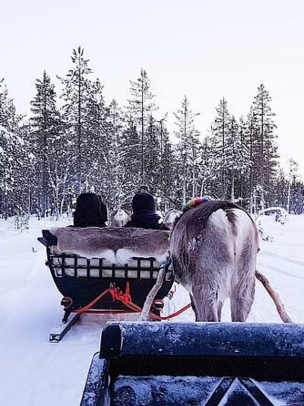 Trineo de renos en Finlandia