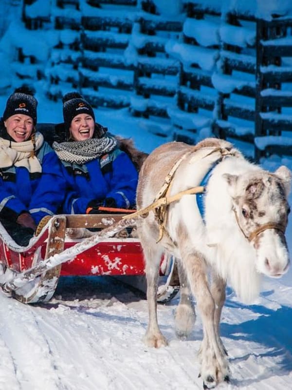 Reindeer Sledding in Finland