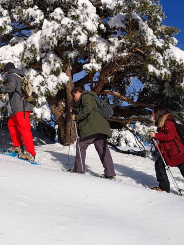 Snowshoeing in Spain
