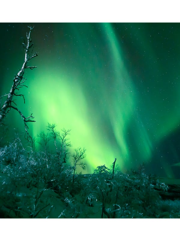 Nordlichter-Touren in Schweden