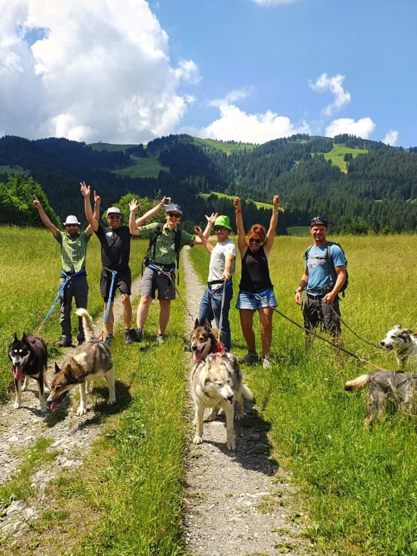 Hundeschlittenfahrt in Frankreich
