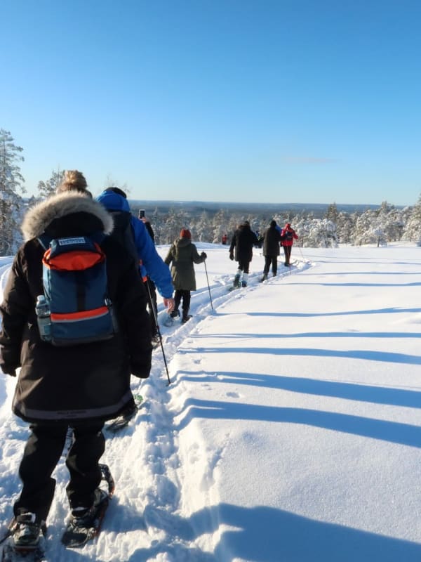 Raquetas de nieve en Suecia