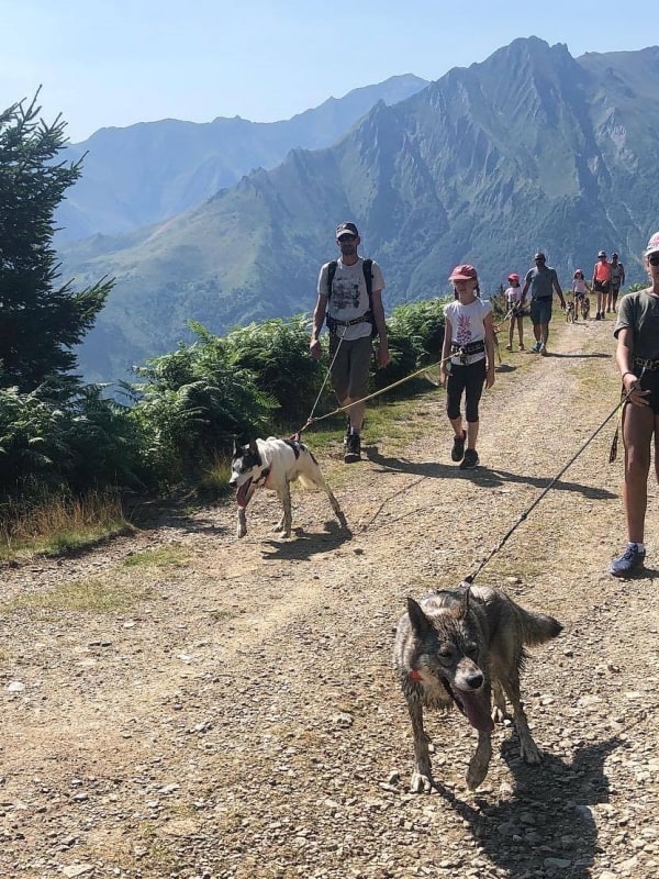 Trineo de perros en Francia
