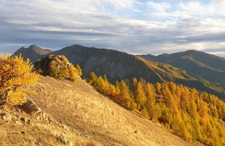 Hike of the stag's bellow in the Mercantour