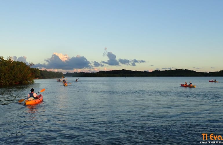 Excursion en kayak de mer depuis Morne-à-l'Eau, Guadeloupe