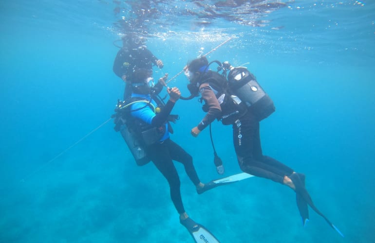 Discover scuba diving in Tamarin Bay in Mauritius
