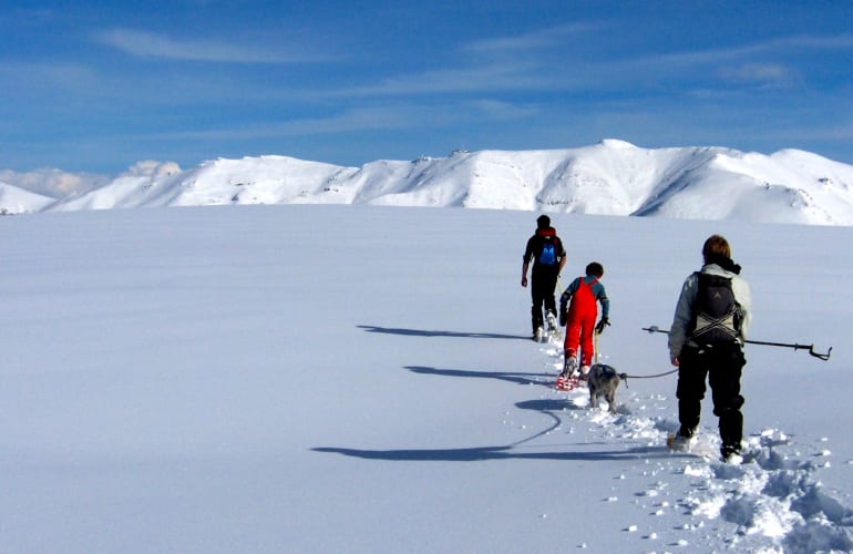 Randonnée raquettes à neige autour du Lioran, Massif du Cantal