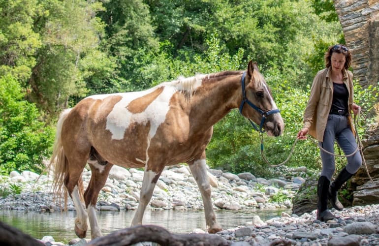Horse riding on the banks of the river Tavignanu, Corte