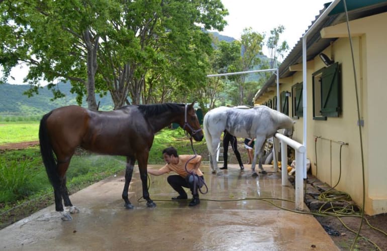 Horseback riding lessons in Cascavelle, near Flic en Flac on Mauritius