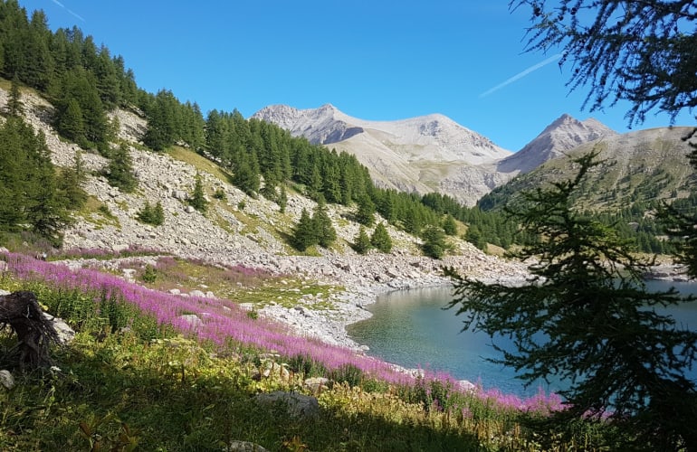 Mercantour wildlife hike from Allos