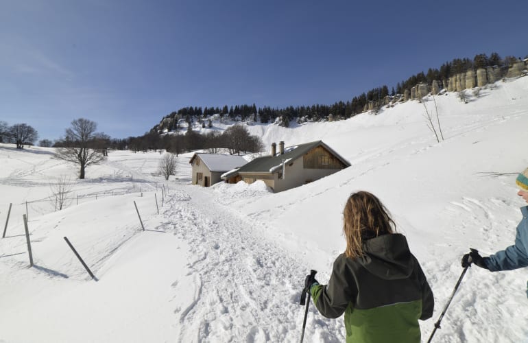 Guided Snowshoeing Hike in the Vercors Regional Nature Park, near Grenoble