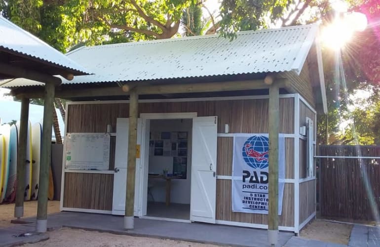 Découverte de la plongée dans la baie de Tamarin à l'Île Maurice