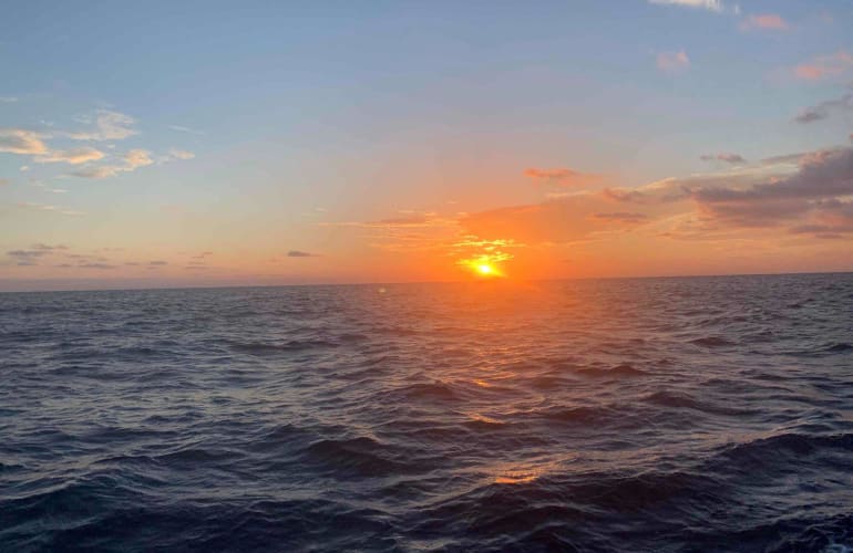 Excursion snorkeling dans la Baie de Cargèse, Corse