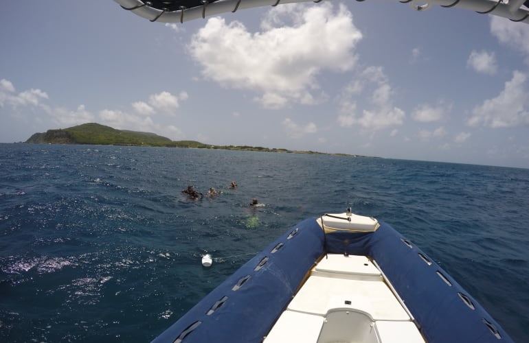 Baptême de plongée sur l'île de La Désirade, Guadeloupe