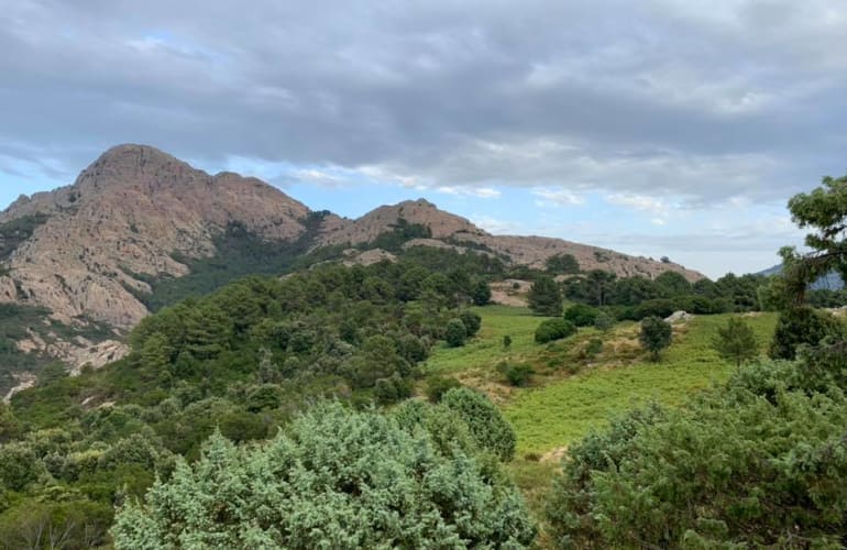 Fahrt mit dem Elektroroller im Wald von Esigna, Cargèse