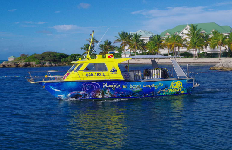 Two tank dives in Saint-François, Guadeloupe