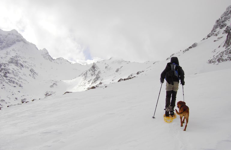 Guided Snowshoe Hike in the Niolo Valley, Corsica